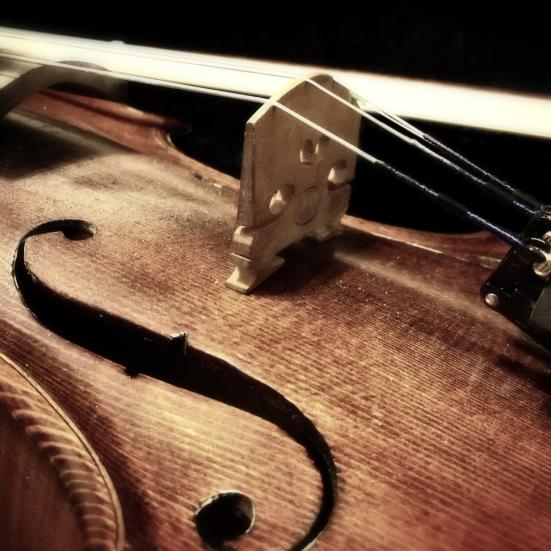 Violin eller andet strygerinstrument set tæt på