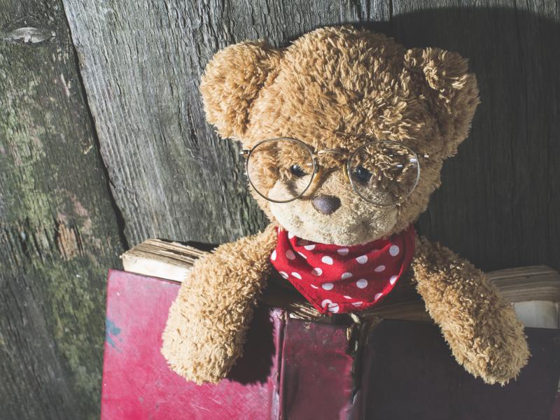Billedet viser en bamse med briller og en bog