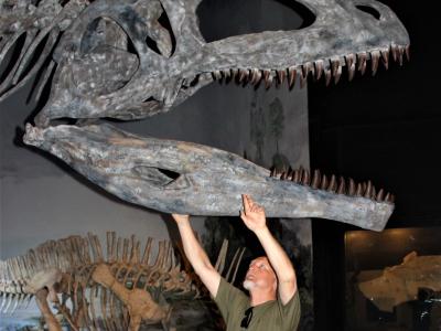 Billedet viser Steen Sigurd Andersen under et kæmpestort dinosaurkranie