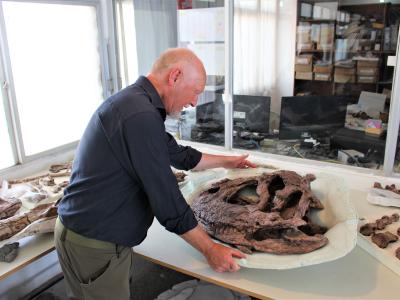 Billedet viser Steen Sigurd Andersen i et laboratorium med dele fra en dinosaur