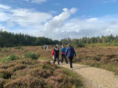 Billedet viser et hede-lignende landskab. På en sti i midten ses tre personer bagfra og på afstand