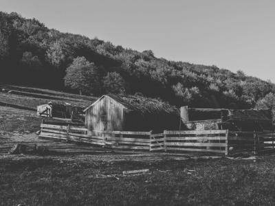 Ødebeliggende forfalden gård i sort hvid