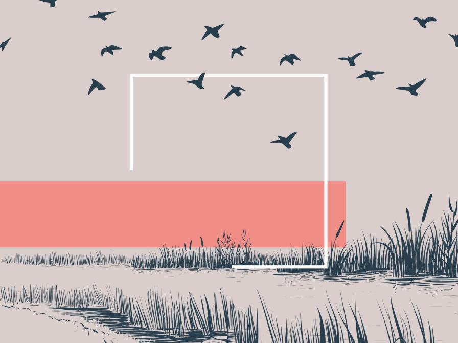 fugle, der flyver over mark og flod