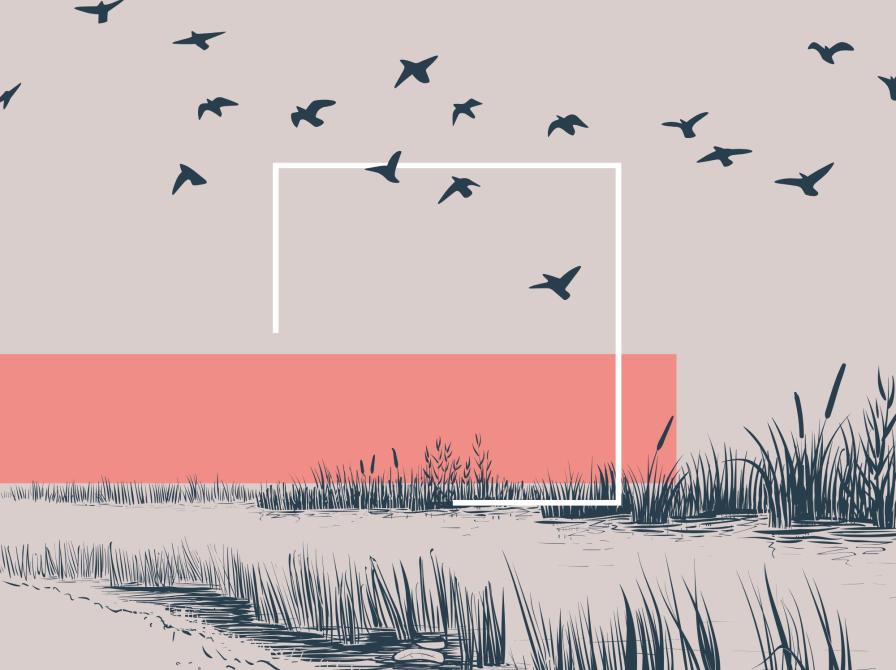 fugle, der flyver over mark og flod