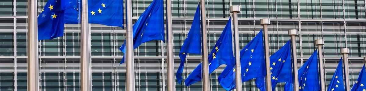 Rækkevis af flagstænger med det blågule EU-flag