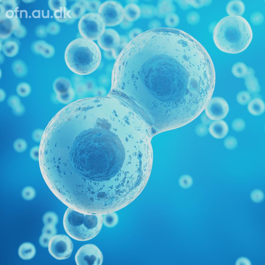 Bobler i lyseblåt vand - måske er det rent faktisk celler, der deler sig
