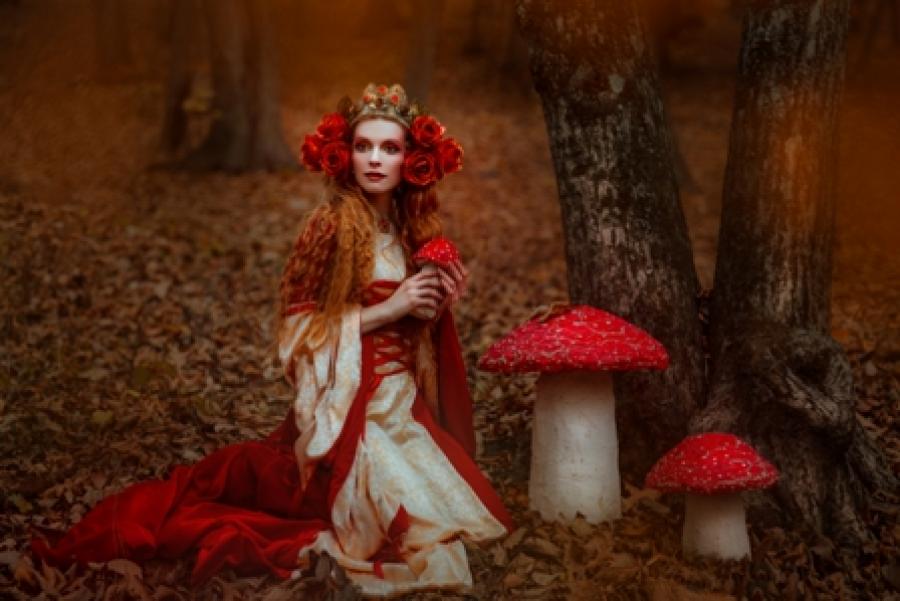 Billedet forestiller en kvinde i en overdådig rød kjole. Hun sidder i skoven ved siden af nogle meget store svampe.